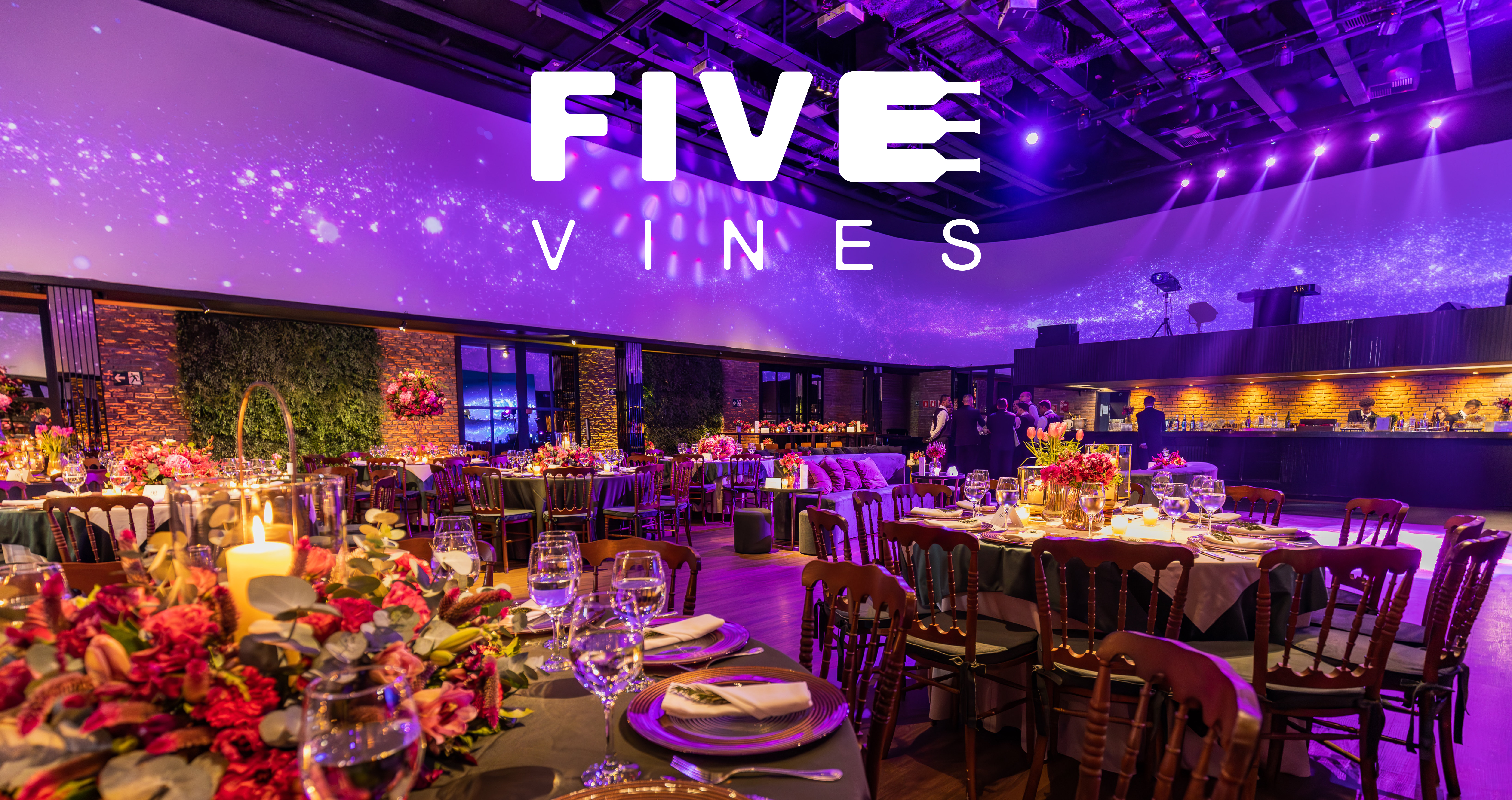 5 Vine